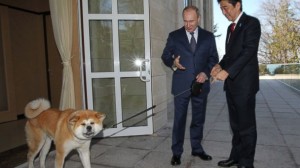 Russian President Vladimir Putin rescues a stray dog as a Japanese tourist admires his compassion. Putin sent troops to Crimea to recover the peripatetic pooches who fled Sochi during the Olympics to avoid Americans. 